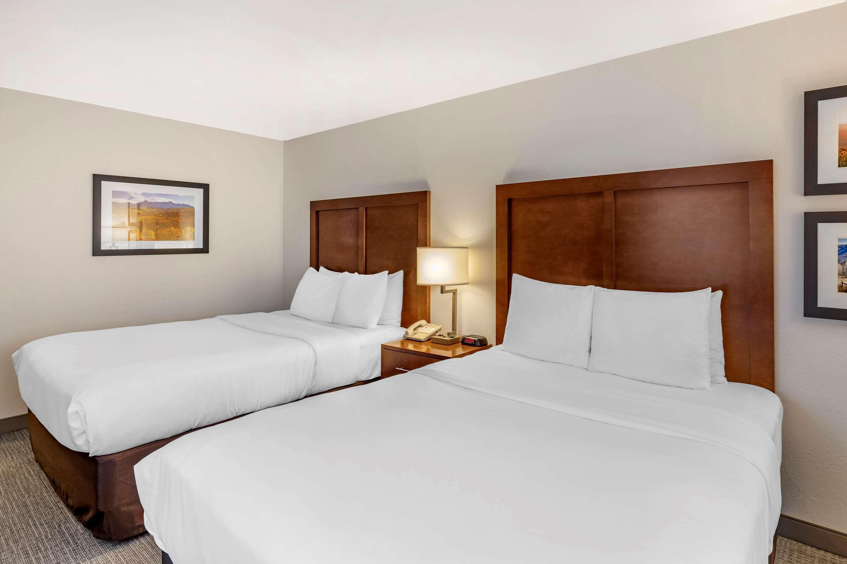 Comfort Inn & Suites Carbondale On The Roaring Fork Esterno foto