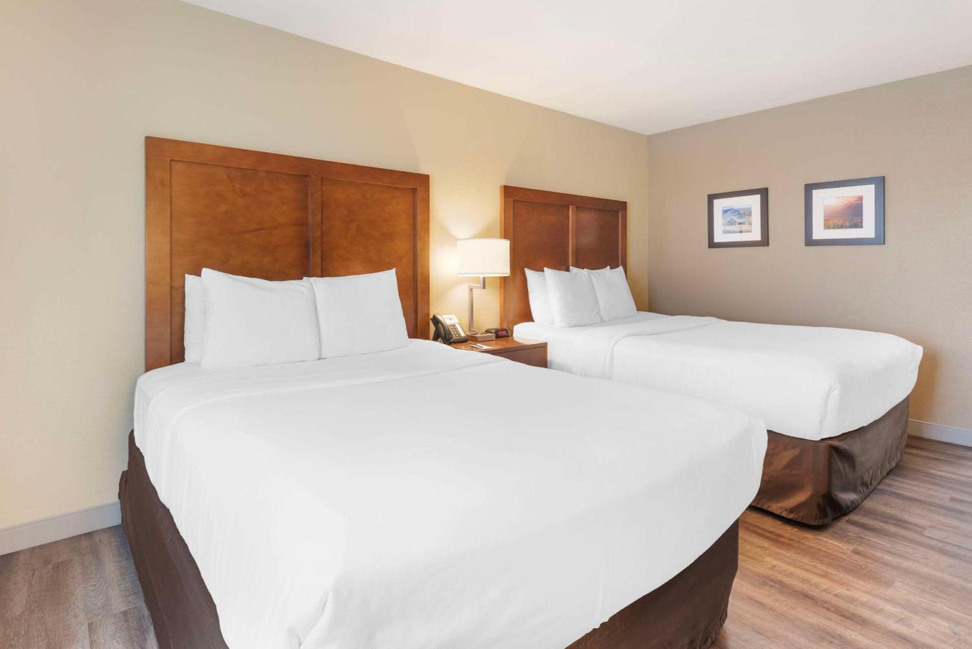 Comfort Inn & Suites Carbondale On The Roaring Fork Esterno foto