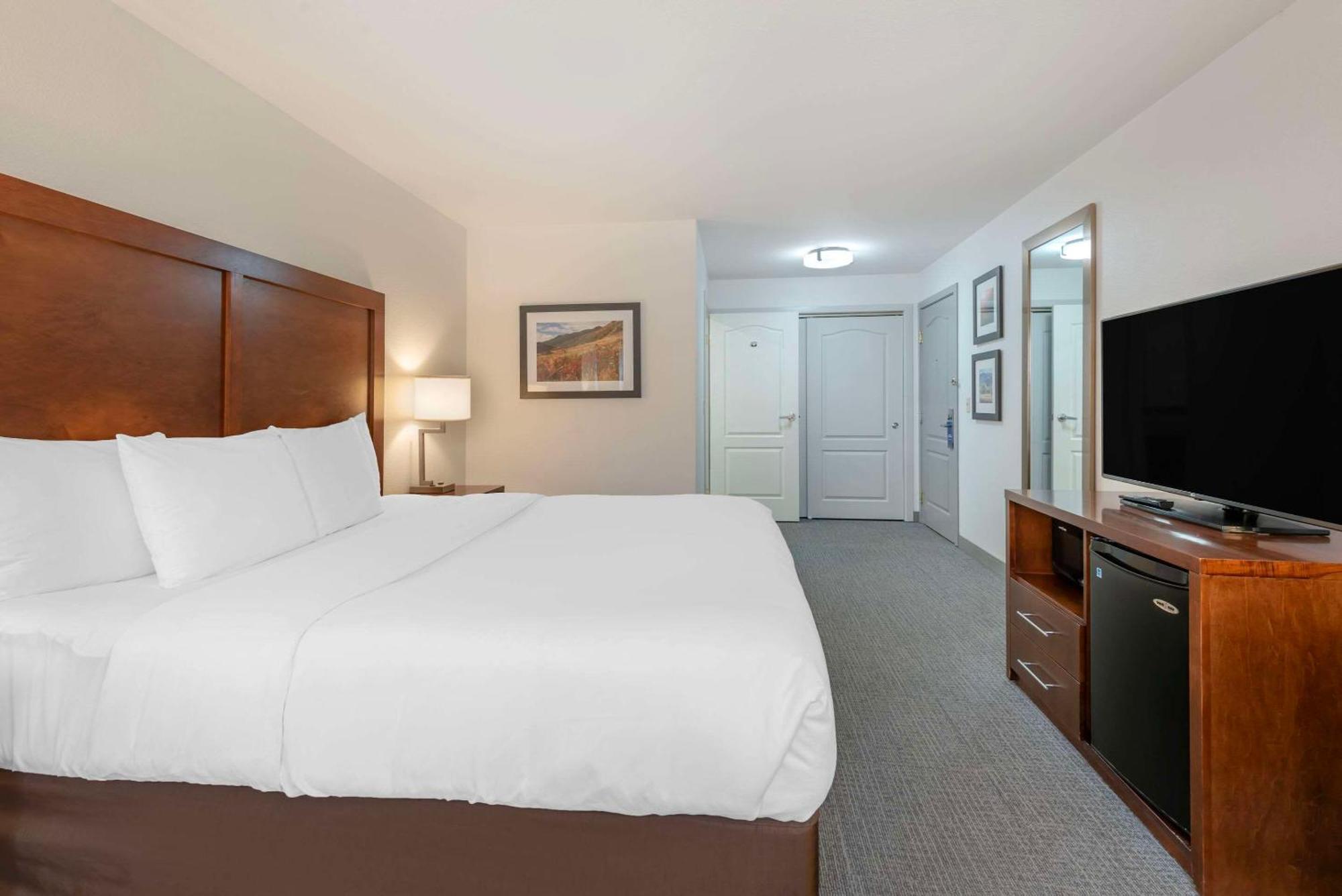 Comfort Inn & Suites Carbondale On The Roaring Fork Esterno foto