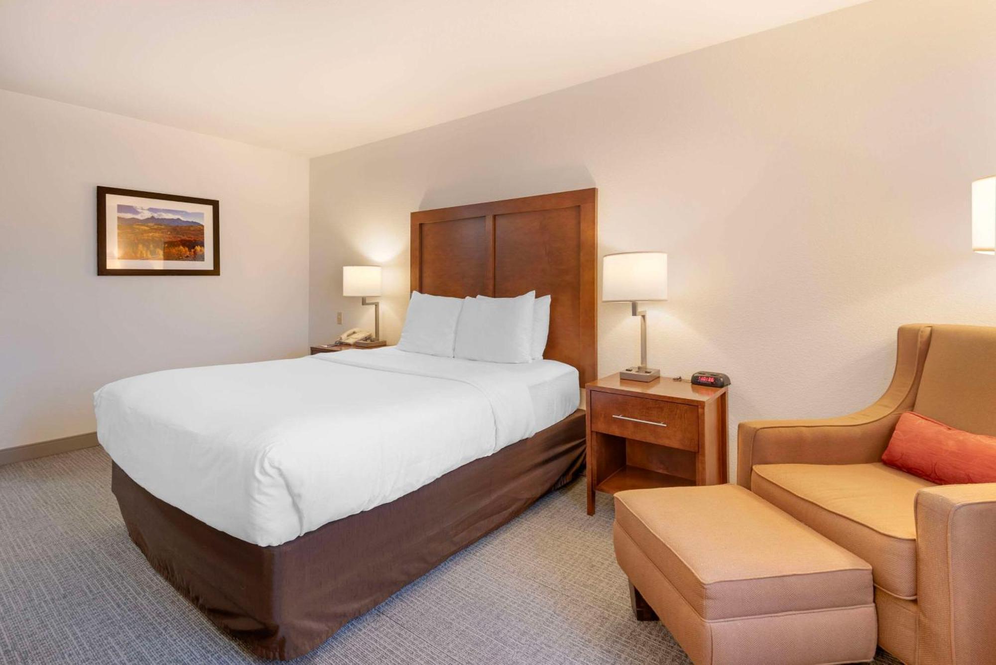Comfort Inn & Suites Carbondale On The Roaring Fork Esterno foto